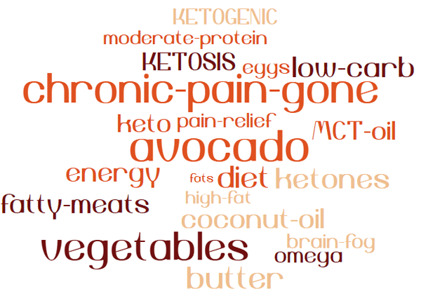 ketogenic-diet,meat, vegetables,eggs, fish, salads greens, dairy, berries, pickles, fats